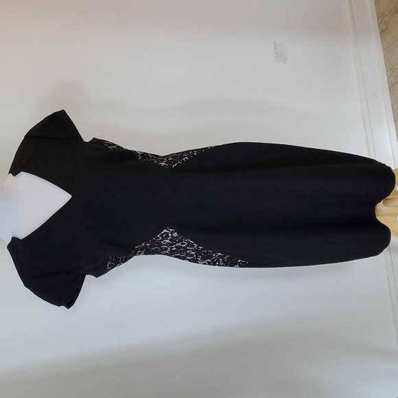 Tahari Sheath Dress - Lace - Picture 1 of 10